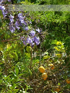 借吧逾期1次影响房贷吗 借吧逾期1次影响房贷吗