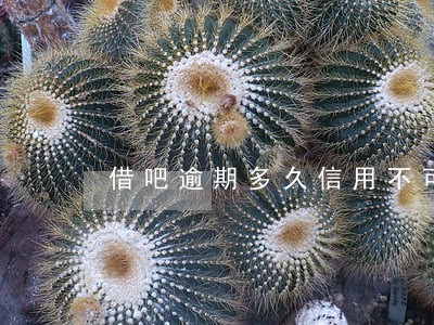 借吧逾期多久信用不可修复
