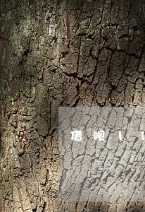 借呗11月逾期图片 借呗11月逾期图片