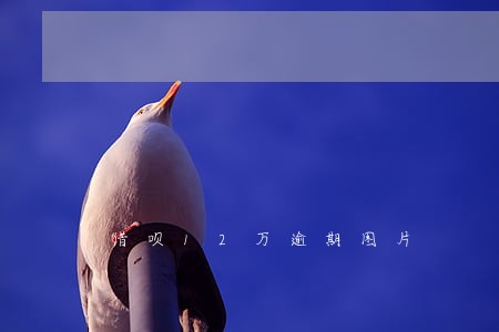 借呗12万逾期图片 借呗12万逾期图片