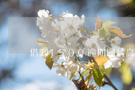 借呗1500逾期图片高清