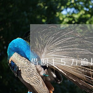 借呗15万逾期了协商成功案例