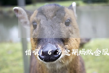 借呗16万逾期蚂蚁金服打电话 借呗16万逾期蚂蚁金服打电话