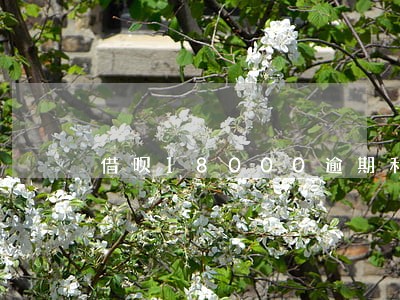 借呗18000逾期利息和罚息 借呗18000逾期利息和罚息
