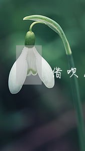 借呗18000逾期快一年了 借呗18000逾期快一年了
