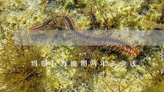 借呗1万逾期两年多少钱 借呗1万逾期两年多少钱