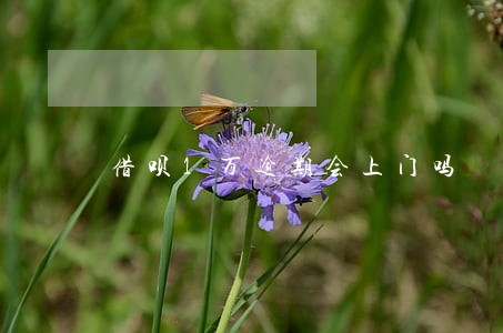 借呗1万逾期会上门吗 借呗1万逾期会上门吗