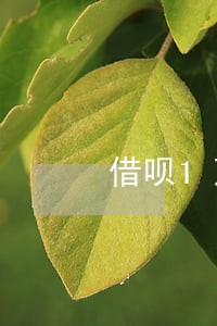 借呗1万逾期利息怎么算的