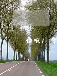借呗1号还超过当天算逾期