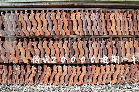借呗20000逾期一年 借呗20000逾期一年