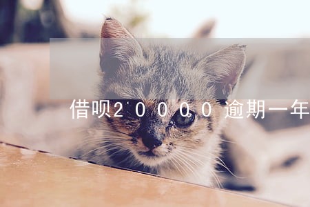 借呗20000逾期一年罚息多少 借呗20000逾期一年罚息多少