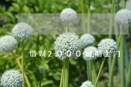 借呗2000逾期上门 借呗2000逾期上门