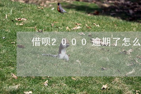 借呗2000逾期了怎么算利息 借呗2000逾期了怎么算利息