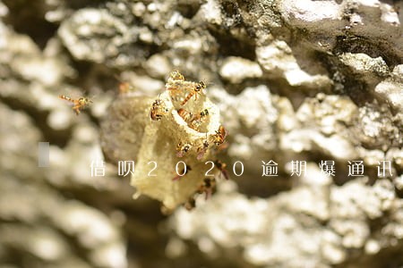 借呗2020逾期爆通讯录吗