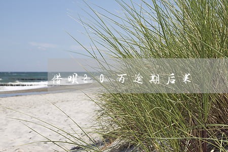 借呗20万逾期后果 借呗20万逾期后果