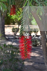 借呗2500逾期两年会上门吗 借呗2500逾期两年会上门吗