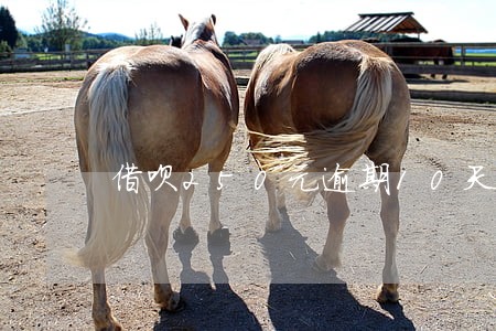 借呗250元逾期10天利息 借呗250元逾期10天利息