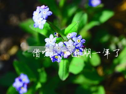 借呗2万逾期一年了 借呗2万逾期一年了