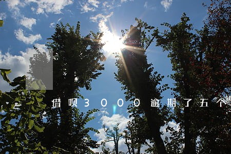 借呗3000逾期了五个月 借呗3000逾期了五个月