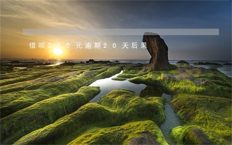 借呗300元逾期20天后果 借呗300元逾期20天后果