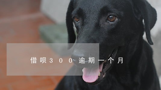 借呗300逾期一个月 借呗300逾期一个月