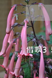 借呗350逾期15天会怎么样 借呗350逾期15天会怎么样