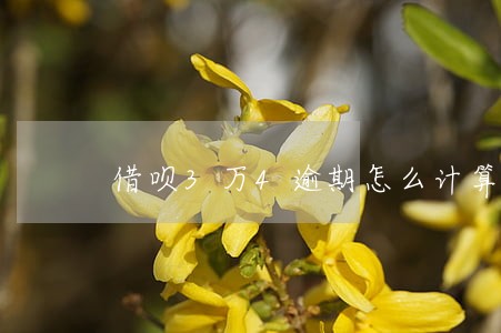 借呗3万4逾期怎么计算 借呗3万4逾期怎么计算