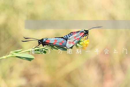 借呗3万逾期一年会上门吗 借呗3万逾期一年会上门吗