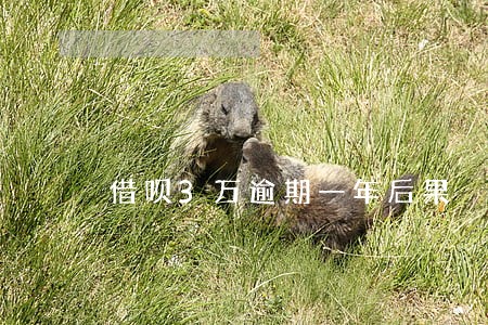 借呗3万逾期一年后果 借呗3万逾期一年后果