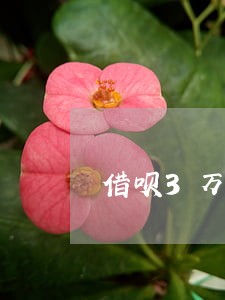 借呗3万逾期利息多少
