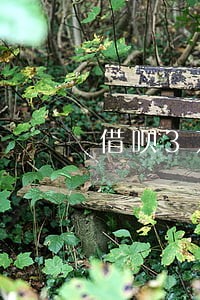 借呗3万逾期半年了怎么办 借呗3万逾期半年了怎么办