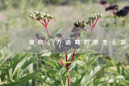 借呗3万逾期罚息怎么算 借呗3万逾期罚息怎么算