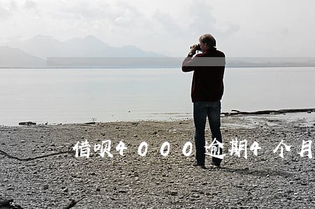 借呗4000逾期4个月的后果 借呗4000逾期4个月的后果