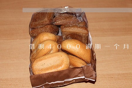 借呗4000逾期一个月多少利息