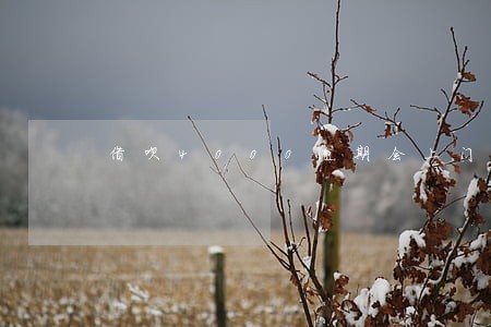 借呗4000逾期会上门催收吗 借呗4000逾期会上门催收吗