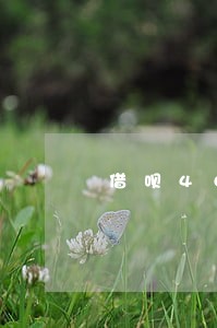 借呗4000逾期费用如何计算