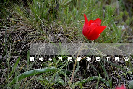 借呗4万元逾期四个月要还多少 借呗4万元逾期四个月要还多少