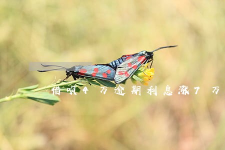 借呗4万逾期利息涨7万 借呗4万逾期利息涨7万