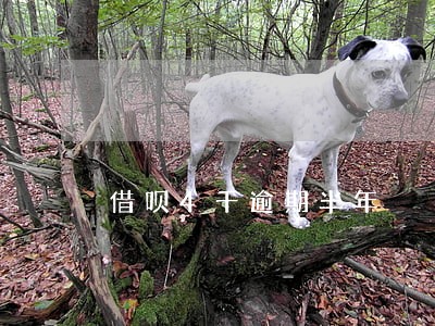 借呗4千逾期半年 借呗4千逾期半年