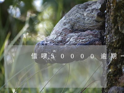 借呗50000逾期一年利息多少 借呗50000逾期一年利息多少