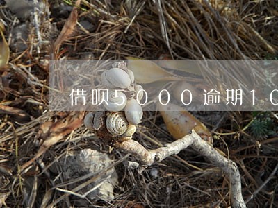 借呗5000逾期100天 借呗5000逾期100天