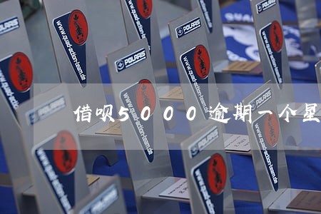 借呗5000逾期一个星期 借呗5000逾期一个星期