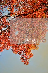 借呗500备用金逾期一个月 借呗500备用金逾期一个月