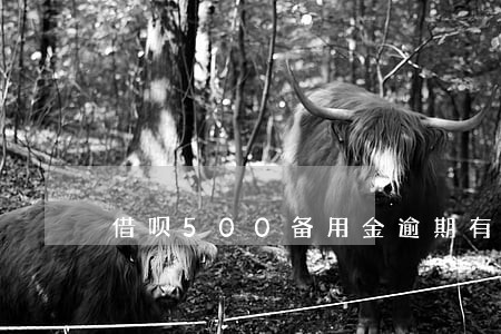 借呗500备用金逾期有利息吗 借呗500备用金逾期有利息吗