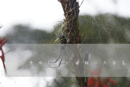 借呗500逾期一天会怎么样 借呗500逾期一天会怎么样