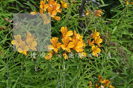 借呗5w逾期四个月 借呗5w逾期四个月