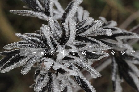 借呗5千逾期一年会坐牢吗 借呗5千逾期一年会坐牢吗