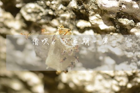 借呗6万逾期一年 借呗6万逾期一年