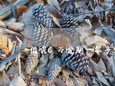 借呗6万逾期一年多少钱 借呗6万逾期一年多少钱