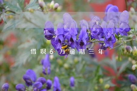 借呗6万逾期三年 借呗6万逾期三年